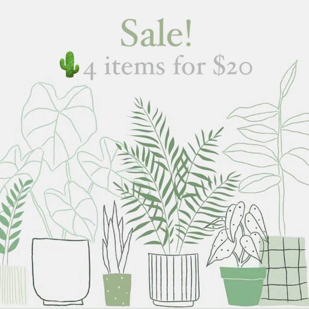 🌵SALE 4/$20